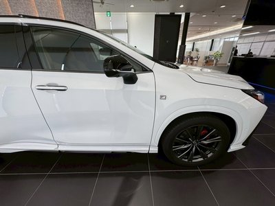 2025 Lexus NX — миниатюра 24