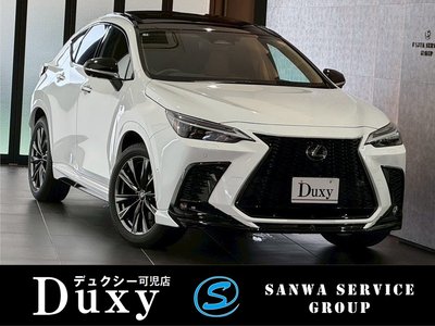 2025 Lexus NX — миниатюра 74