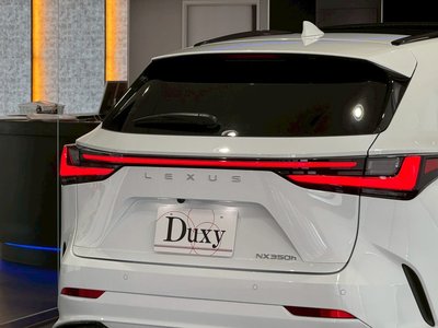 2025 Lexus NX — миниатюра 38