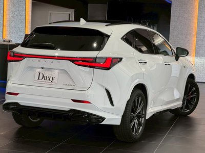 2025 Lexus NX — миниатюра 33