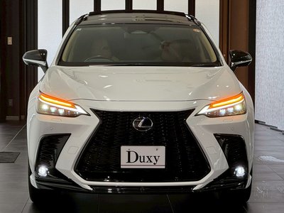 2025 Lexus NX — миниатюра 21