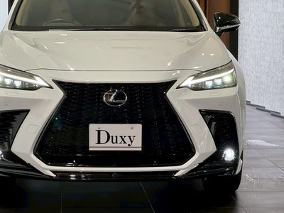 2025 Lexus NX — миниатюра 23