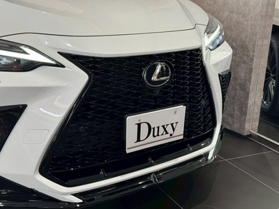 2025 Lexus NX — миниатюра 18