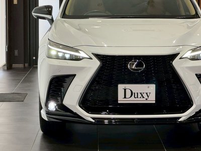 2025 Lexus NX — миниатюра 22