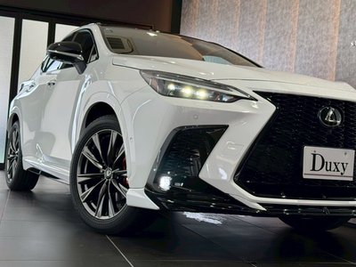 2025 Lexus NX — миниатюра 11