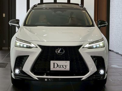 2025 Lexus NX — миниатюра 20