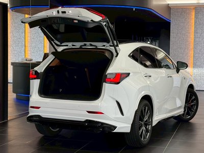 2025 Lexus NX — миниатюра 34