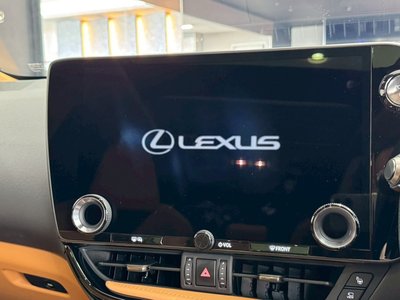 2025 Lexus NX — миниатюра 54