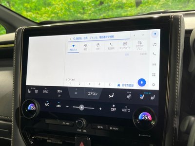 2025 TOYOTA ALPHARD 缩略图 43