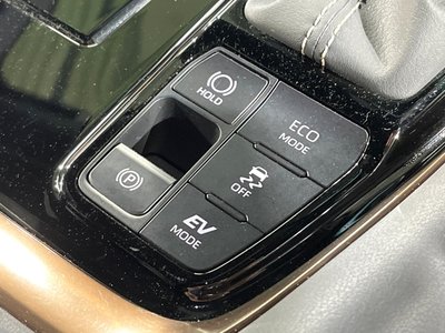 2025 TOYOTA ALPHARD 缩略图 39