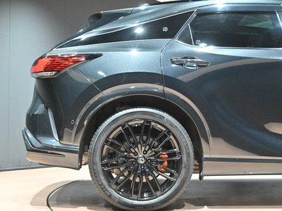 2024 Lexus RX — миниатюра 27