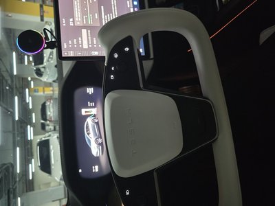 2026 Tesla MODEL X photo 4