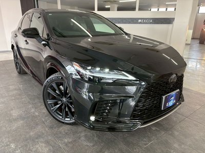 LEXUS RX - 6
