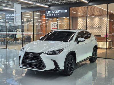 LEXUS NX - 1