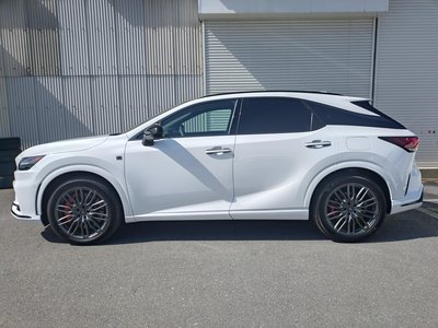 LEXUS RX - 6