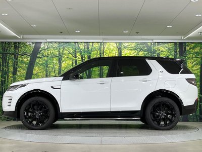 2025 LAND Rover DISCOVERY SPORT — миниатюра 21