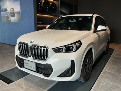 BMW X1 - 6