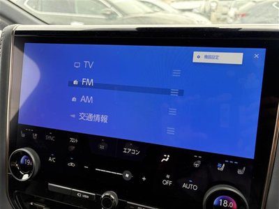 2024 Toyota ALPHARD 照片 3