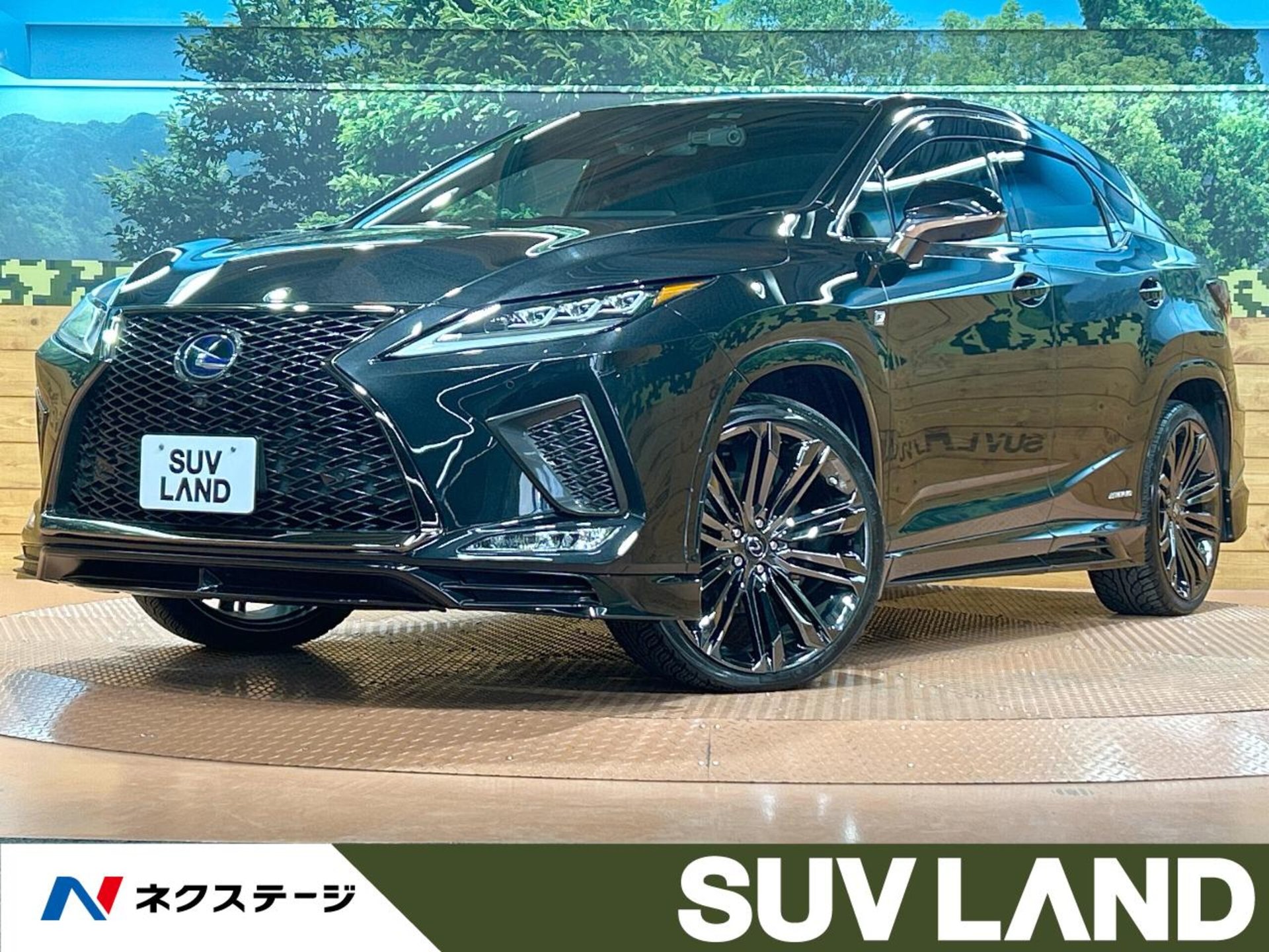 LEXUS RX - View 1