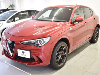 صورة مصغرة 28 لـ 2019 ALFA Romeo STELVIO