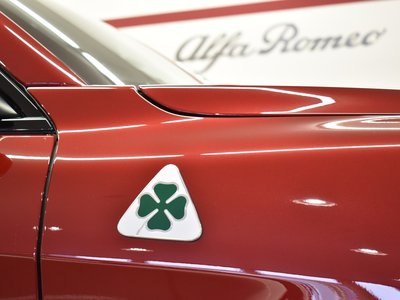 صورة مصغرة 38 لـ 2019 ALFA Romeo STELVIO