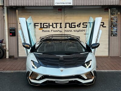 LAMBORGHINI AVENTADOR ROADSTER