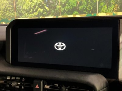 TOYOTA LAND CRUISER 250 - 6