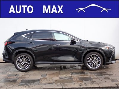 LEXUS NX - 10