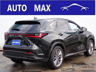 LEXUS NX - 2