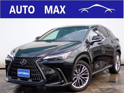 LEXUS NX - 1