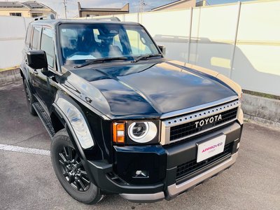 TOYOTA LAND CRUISER 250 - 2