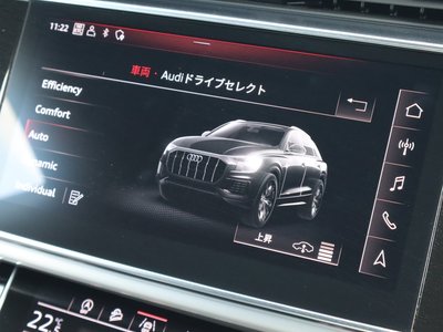 2019 AUDI Q8 缩略图 43