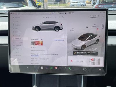 TESLA MODEL Y - 7