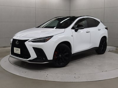 LEXUS NX - 1