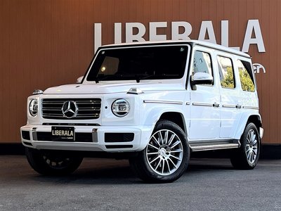 MERCEDES-BENZ G-CLASS 2023 thumbnail 68