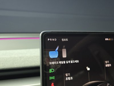 2025 Tesla MODEL Y thumbnail 12