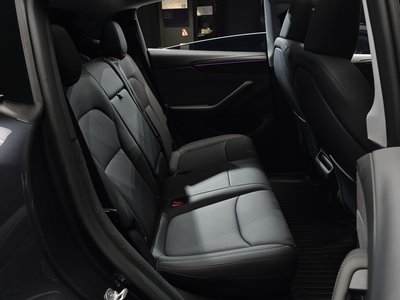 2025 Tesla MODEL Y thumbnail 17