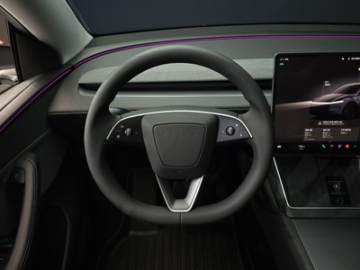 2025 Tesla MODEL Y thumbnail 20