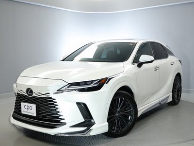 صورة مصغرة 9 لـ 2023 Lexus RX