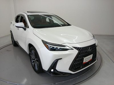 2025 Lexus NX 照片 3