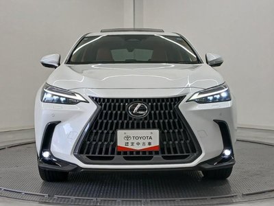 2025 Lexus NX 照片 2