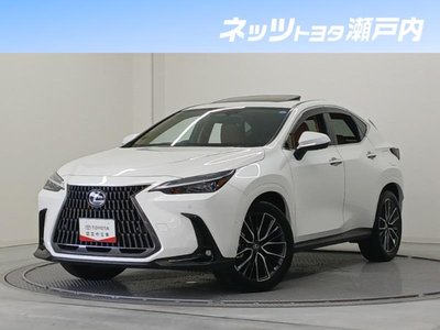 2025 Lexus NX 照片 1
