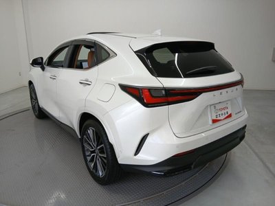 2025 Lexus NX 照片 7