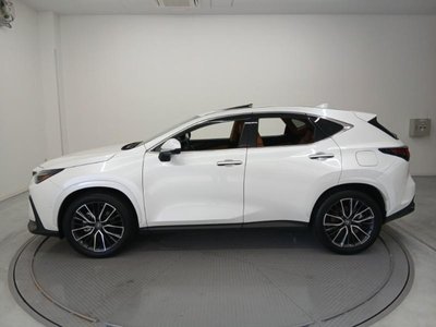 2025 Lexus NX 照片 8