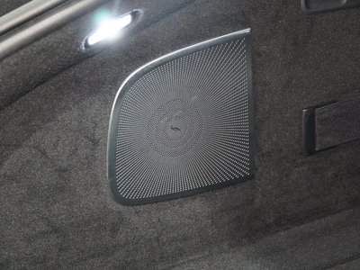 2019 Mercedes-BENZ GT AMG 缩略图 48