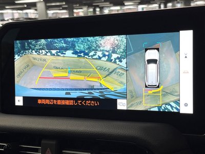 TOYOTA LAND CRUISER - 5
