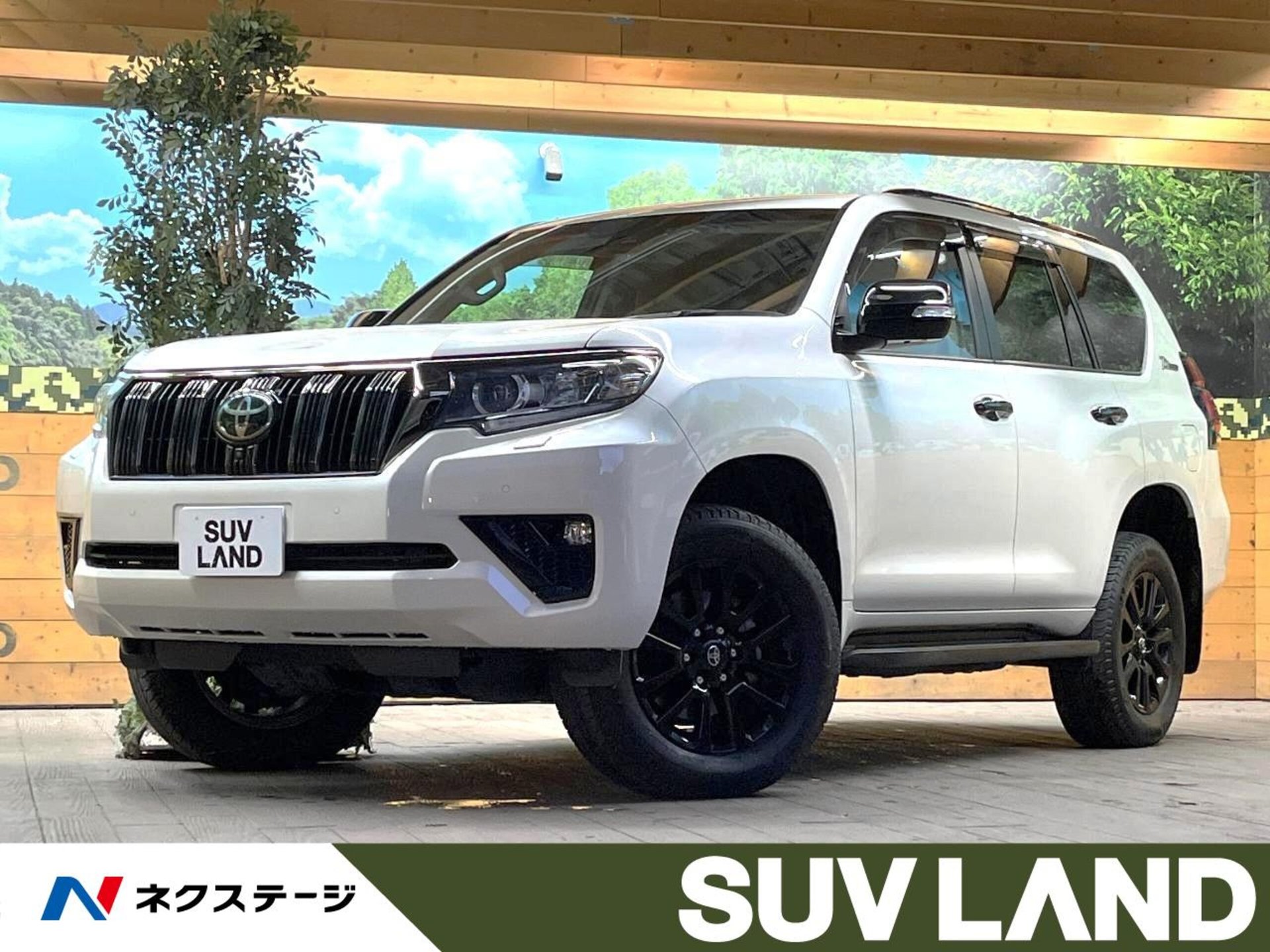 TOYOTA LAND CRUISER PRADO - View 1