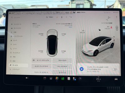 2024 Tesla MODEL 3 缩略图 44