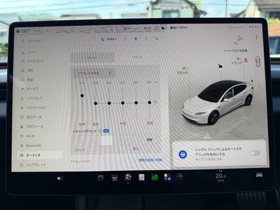 2024 Tesla MODEL 3 缩略图 47