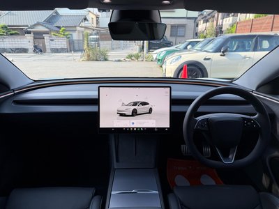 2024 Tesla MODEL 3 缩略图 16